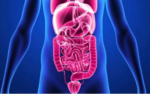 胃肠炎和肠胃炎有什么区别