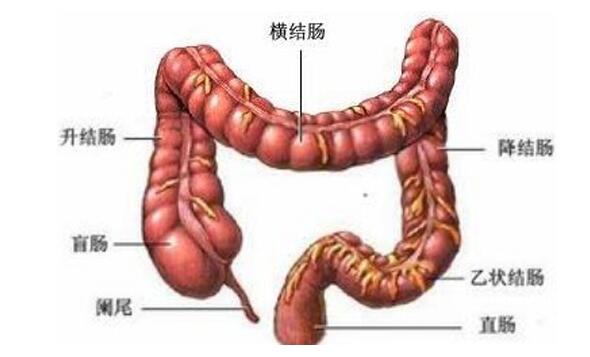 患上慢性肠胃有哪些症状